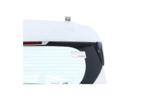 Malle/Hayon arriere RENAULT CLIO 4 Photo n°3