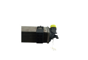 Echangeur air (Intercooler) RENAULT LAGUNA 3 Photo n°1