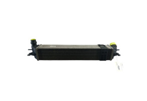 Echangeur air (Intercooler) RENAULT LAGUNA 3 Photo n°3