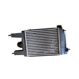 Echangeur air (Intercooler) NISSAN JUKE 1 Photo n°1