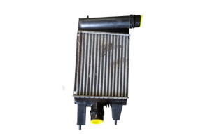 Echangeur air (Intercooler) NISSAN JUKE 1 Photo n°2