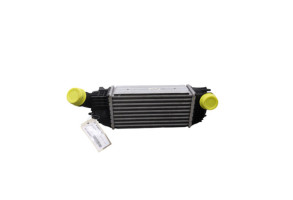 Echangeur air (Intercooler) CITROEN C5 2 Photo n°3