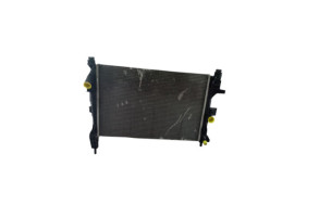 Radiateur eau FORD C-MAX 2 Photo n°2