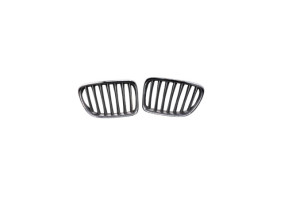 Calandre BMW X1 E84 Photo n°1