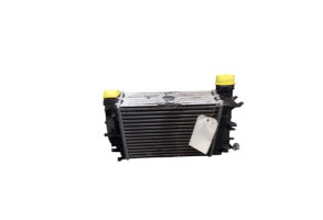 Echangeur air (Intercooler) RENAULT TALISMAN Photo n°2