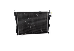 Radiateur eau NISSAN QASHQAI 1 Photo n°2