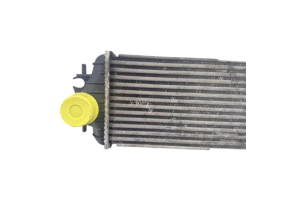 Echangeur air (Intercooler) RENAULT TRAFIC 2 Photo n°4