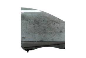 Vitre avant droit RENAULT SCENIC 3 Photo n°1
