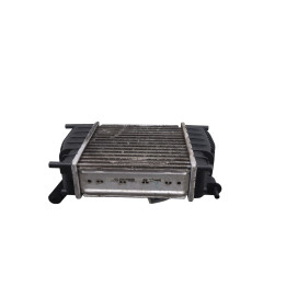 Echangeur air (Intercooler) NISSAN JUKE 1 Photo n°1