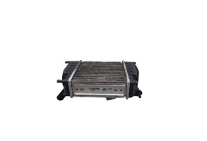 Echangeur air (Intercooler) NISSAN JUKE 1 Photo n°1