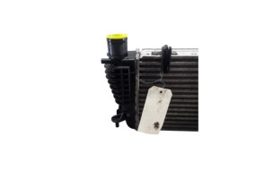 Echangeur air (Intercooler) NISSAN JUKE 1 Photo n°2
