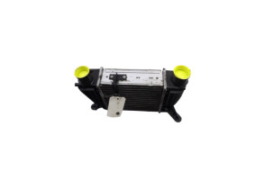 Echangeur air (Intercooler) NISSAN JUKE 1 Photo n°4