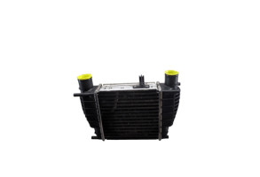 Echangeur air (Intercooler) NISSAN JUKE 1 Photo n°5