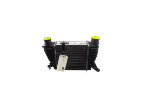 Echangeur air (Intercooler) NISSAN JUKE 1 Photo n°8