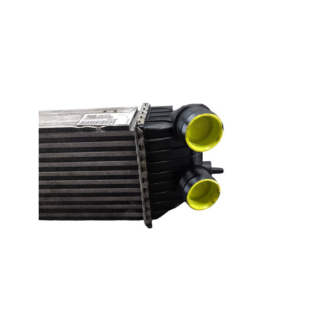Echangeur air (Intercooler) CITROEN JUMPY 2