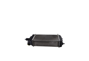 Echangeur air (Intercooler) CITROEN JUMPY 2 Photo n°9