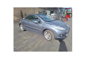 Custode avant droit (porte) PEUGEOT 207 Photo n°6