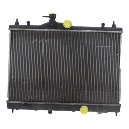 Radiateur eau NISSAN JUKE 1 Photo n°1