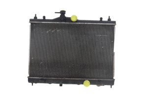Radiateur eau NISSAN JUKE 1 Photo n°1