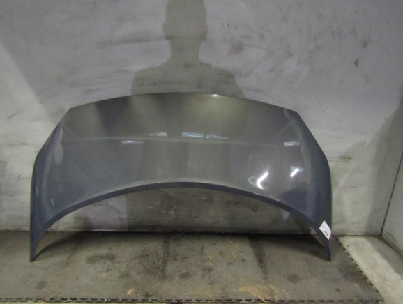 Capot RENAULT SCENIC 2 Photo n°1