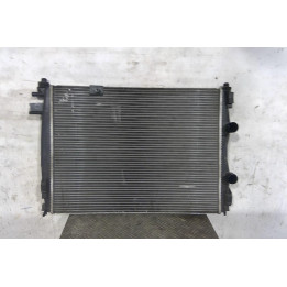 Radiateur eau NISSAN QASHQAI 1 Photo n°1