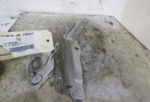 Charniere de capot DACIA SANDERO 1