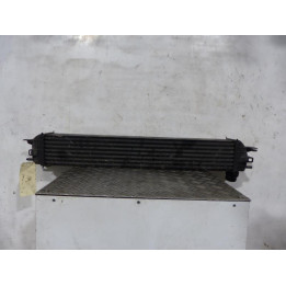 Echangeur air (Intercooler) RENAULT LAGUNA 3 Photo n°1