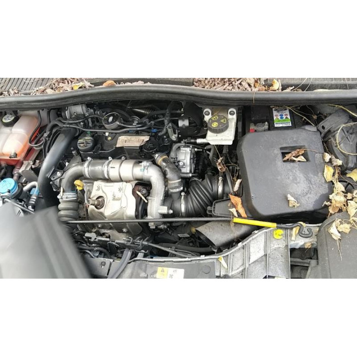 Leve vitre electrique avant gauche FORD C-MAX 2 Photo n°12