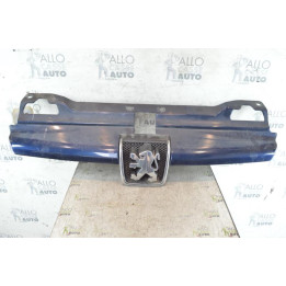 Calandre PEUGEOT 406 Photo n°1