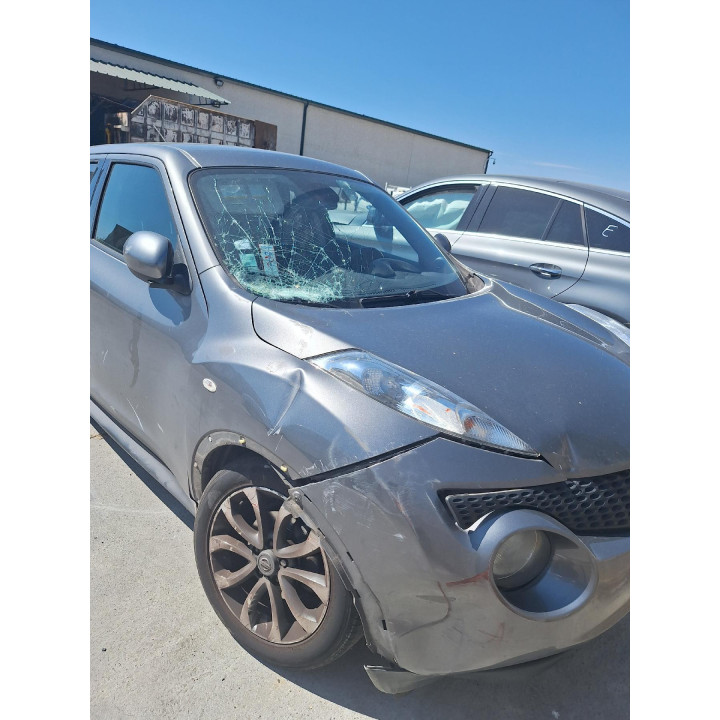 Charniere de hayon NISSAN JUKE 1 Photo n°3