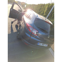 Feu diurne avant gauche RENAULT MEGANE 3 Photo n°11