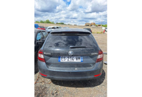 Porte avant droit SKODA RAPID SPACEBACK Photo n°15