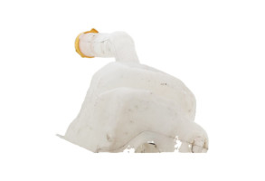 Vase de lave glace RENAULT ZOE 2 Photo n°2