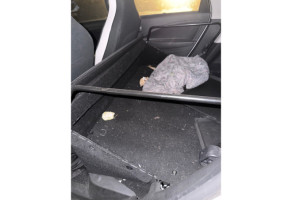 Antenne RENAULT ZOE 2 Photo n°12