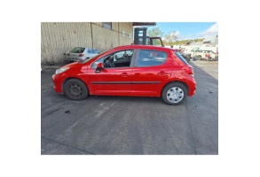 Custode avant droit (porte) PEUGEOT 207 Photo n°9