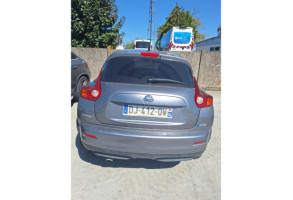 Porte arriere gauche NISSAN JUKE 1 Photo n°14