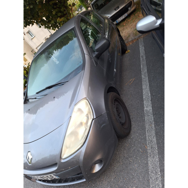 Custode arriere gauche (porte) RENAULT CLIO 3 Photo n°11