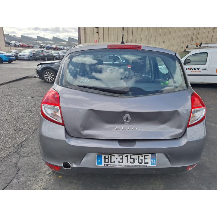 Custode arriere gauche (porte) RENAULT CLIO 3 Photo n°14