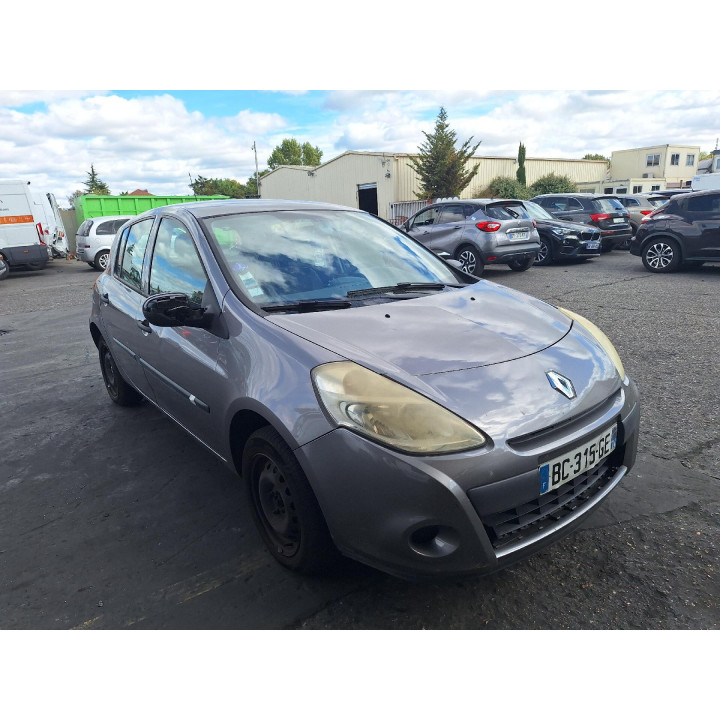 Custode arriere gauche (porte) RENAULT CLIO 3 Photo n°15