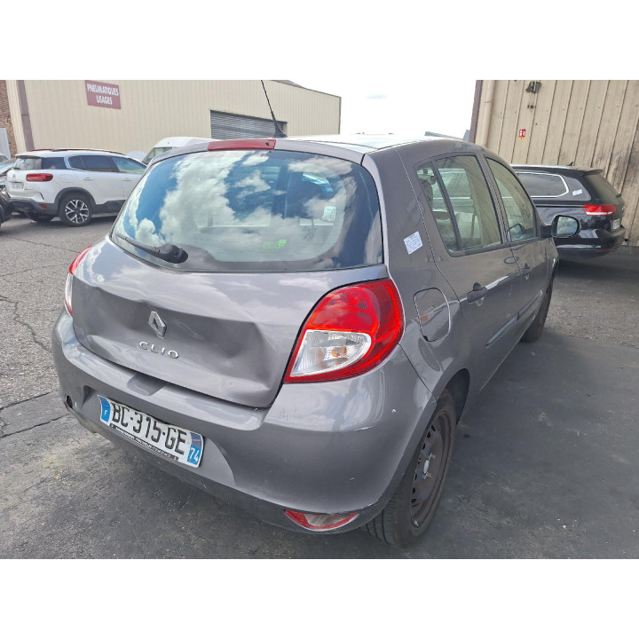Custode arriere gauche (porte) RENAULT CLIO 3 Photo n°16