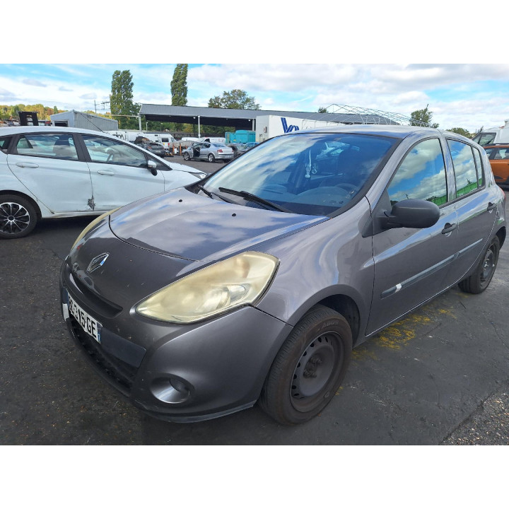 Custode arriere gauche (porte) RENAULT CLIO 3 Photo n°19