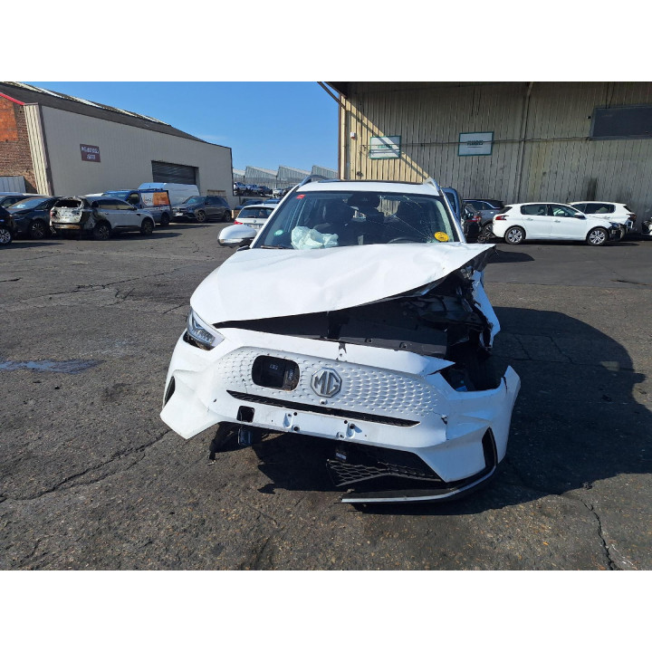Poignee porte arriere gauche MG ZS 2 Photo n°12