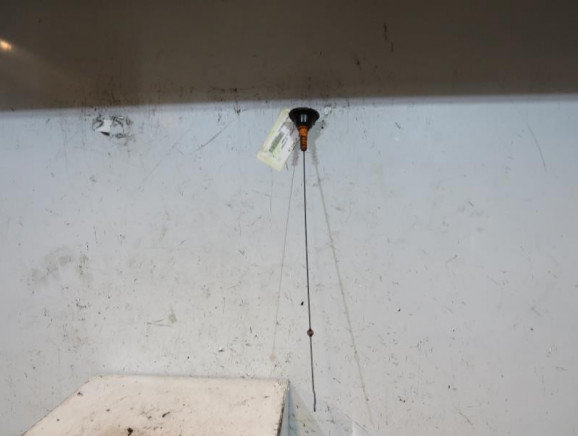 Jauge d'huile VOLKSWAGEN GOLF 4 Photo n°1