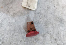 Bouton de warning CITROEN C8 Photo n°2