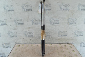 Verin de coffre PEUGEOT 206