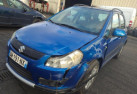 Porte arriere droit SUZUKI SX4 1 Photo n°17