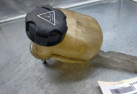 Vase d'expansion CITROEN C5 2 Photo n°2