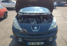 Custode arriere droit PEUGEOT 207 Photo n°9