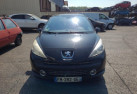 Custode arriere droit PEUGEOT 207 Photo n°11