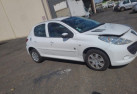 Capot PEUGEOT 206+ Photo n°12
